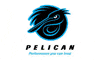 Pelican